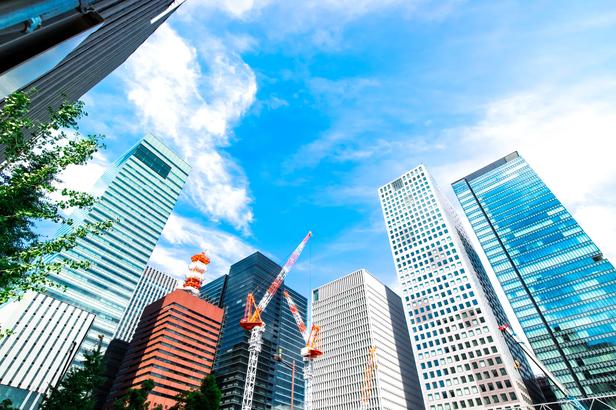 会社概要イメージ